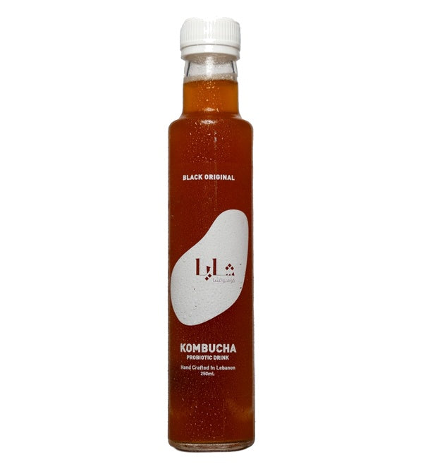 Shaya Kombucha black original