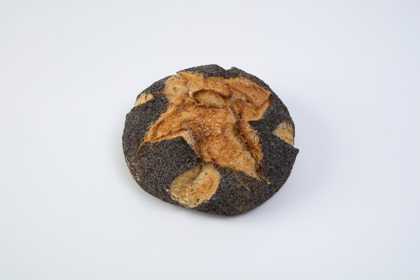 Plain Sourdough Loaf with Poppy seeds