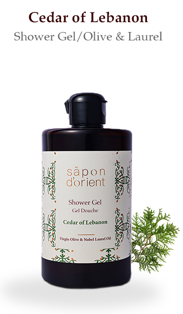 Sapon Dorient - säpon d'orient - Cedar Of Lebanon Shower Gel