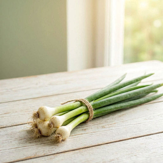 Hadi Al Solh Green Onions Bunch - بصل أخضر ضمة (Pre-Order)
