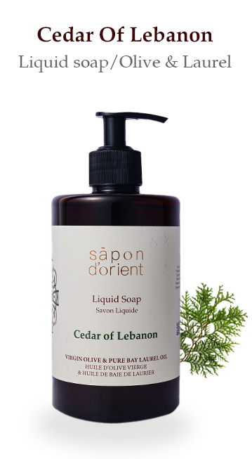 Sapon Dorient - säpon d’orient - Cedar Of Lebanon Liquid Soap