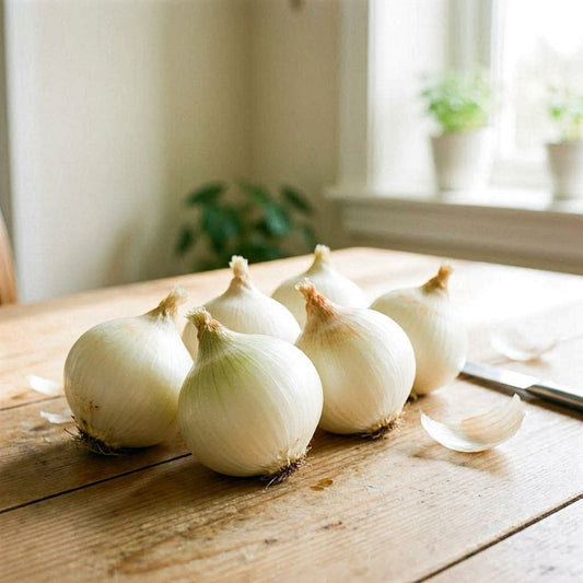 Hadi Al Solh White Onion - بصل أبيض 1kg (Pre-Order)