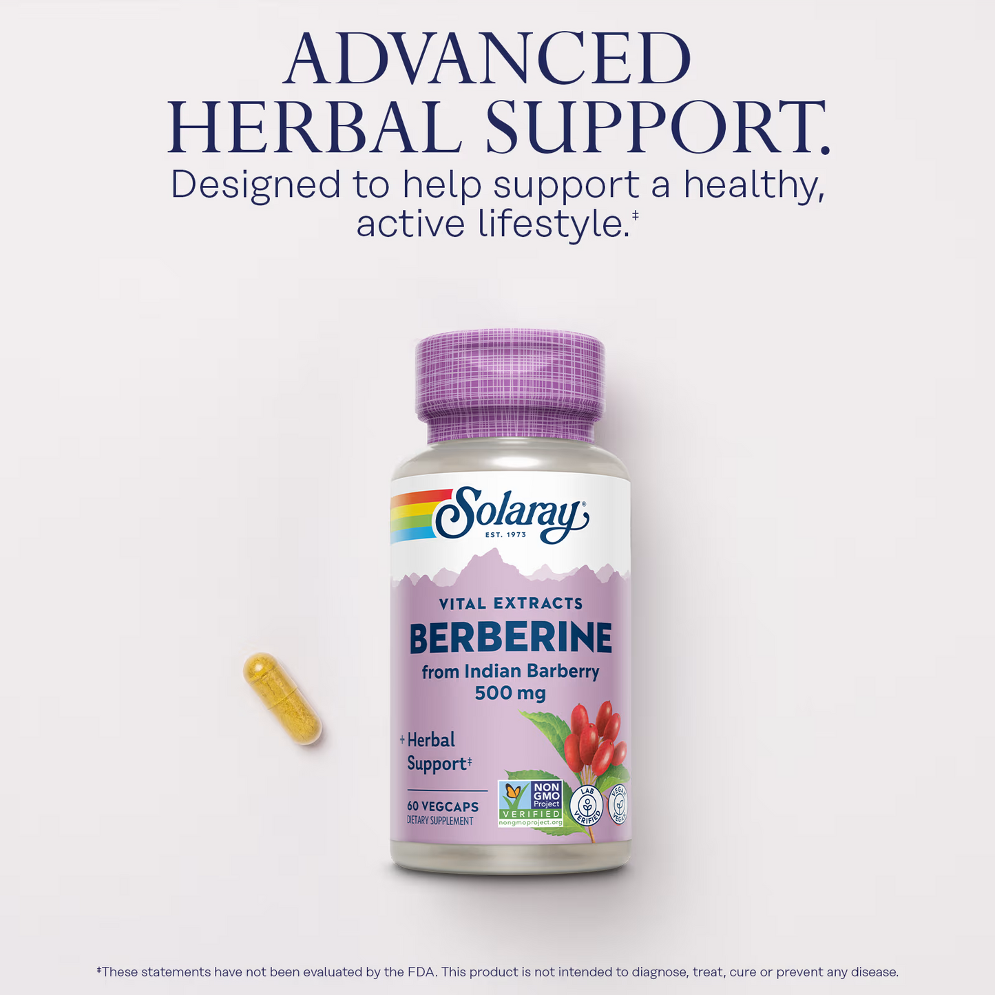 Solaray Berberine - 500mg, 60 Veg Caps