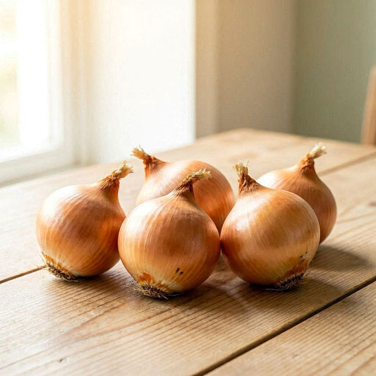 Hadi Al Solh Brown Roasting Onions - بصل بني للشوي علبة (Pre-Order)