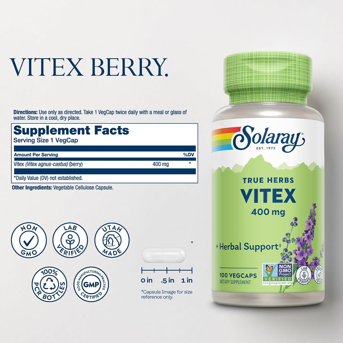 Solaray Vitex Chasteberry Agnus Castus - 400mg, 100 Veg Caps