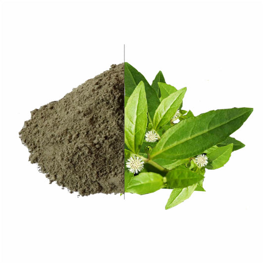 Powder Bhringraj - Maharishi Ayurveda