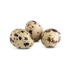 Ayam Zaman - Eggs ferri