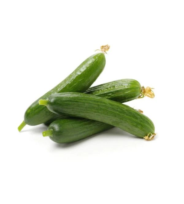 ORGANIC FARM CUCUMBER