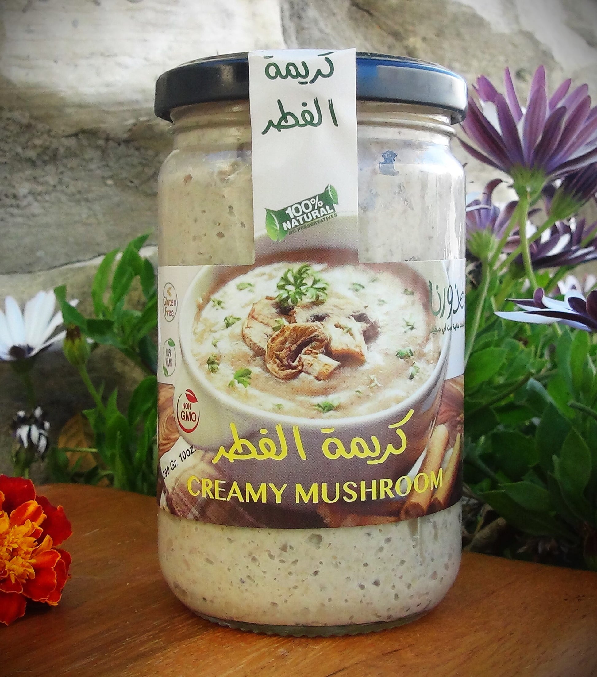 Vegan Creamy Mushrooms