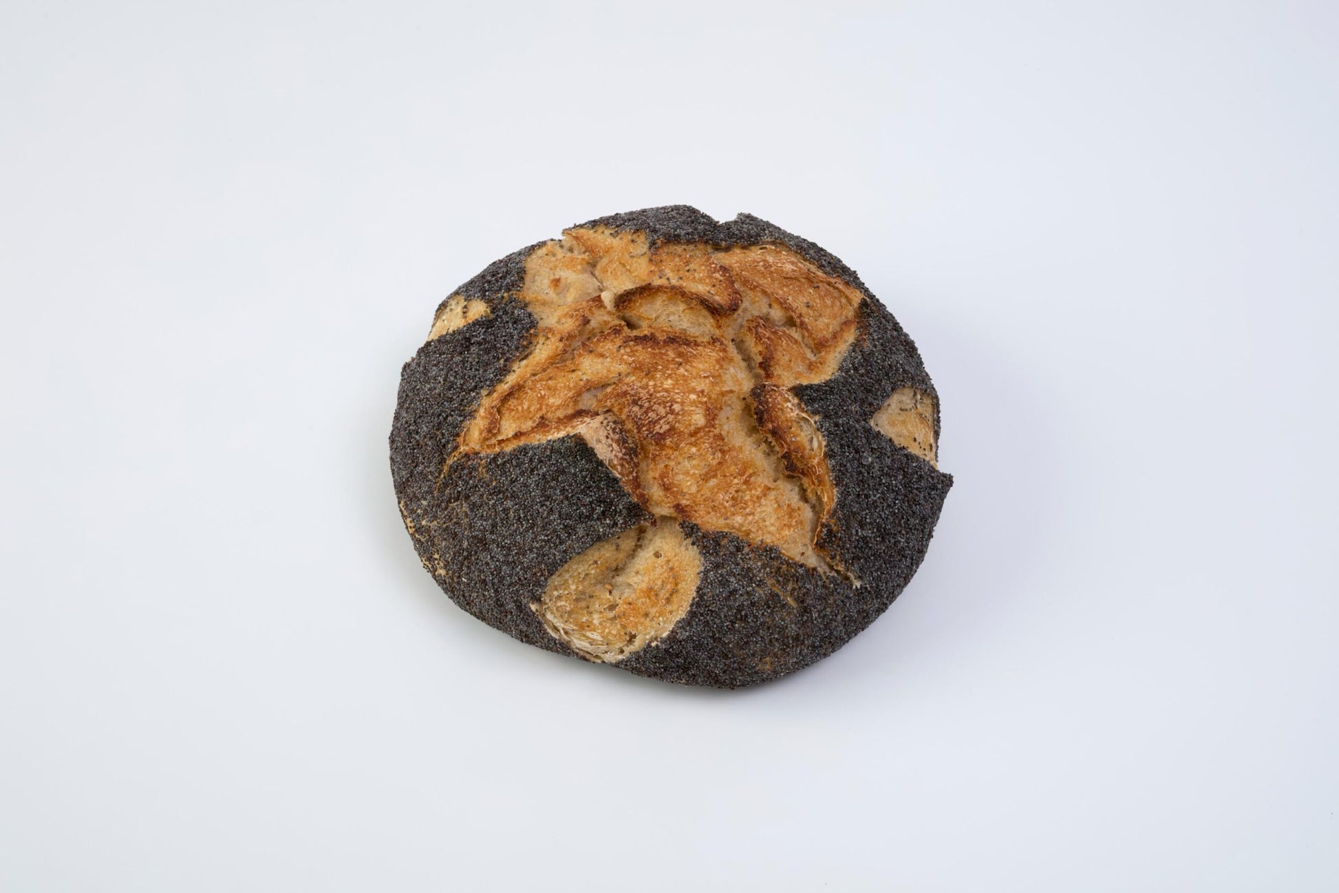 Plain Sourdough Loaf with Poppy seeds